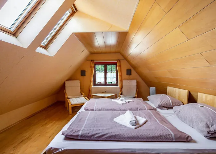 公寓 Haselgrund Kurort Steinbach-Hallenberg